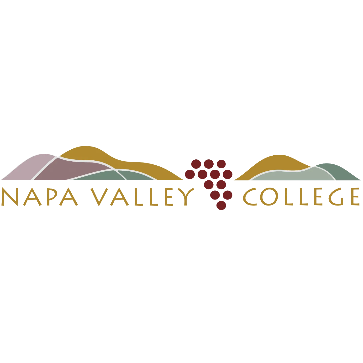 napa-valley-college